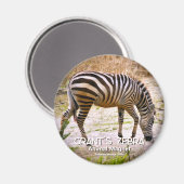 Grant's zebra magneet (Voorkant / Achterkant)