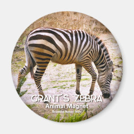 Grant's zebra magneet