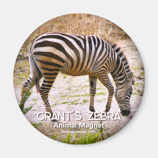 Grant's zebra magneet (Voorkant)