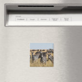 Grant's Zebra Magneet (Insitu (Vaatwasser))