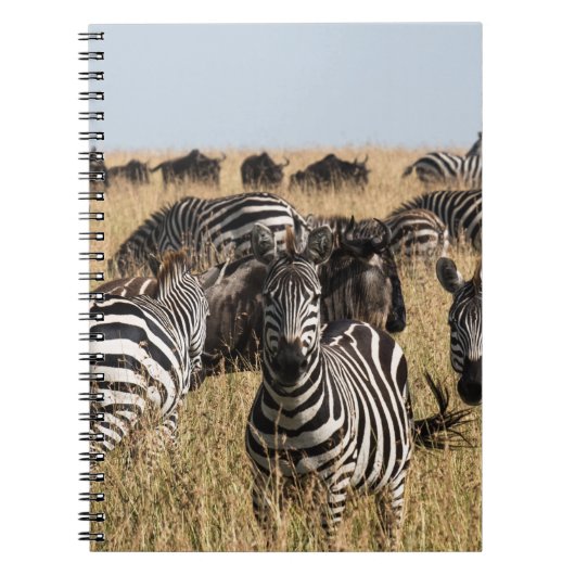 Grant's Zebra Notitieboek (Voorkant)