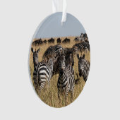 Grant's Zebra Ornament (voorkant)