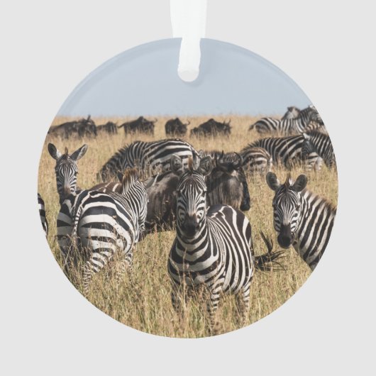 Grant's Zebra Ornament (achterkant)