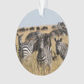 Grant's Zebra Ornament (voorkant)