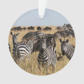 Grant's Zebra Ornament (voorkant)
