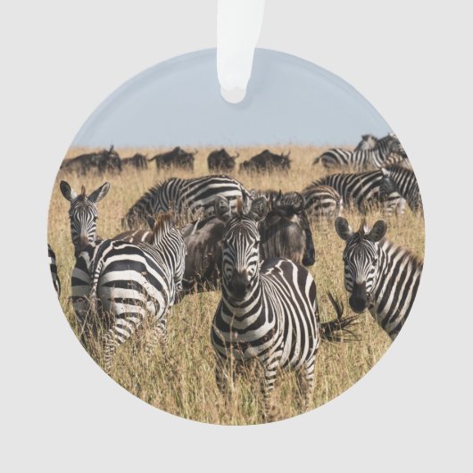 Grant's Zebra Ornament (voorkant)
