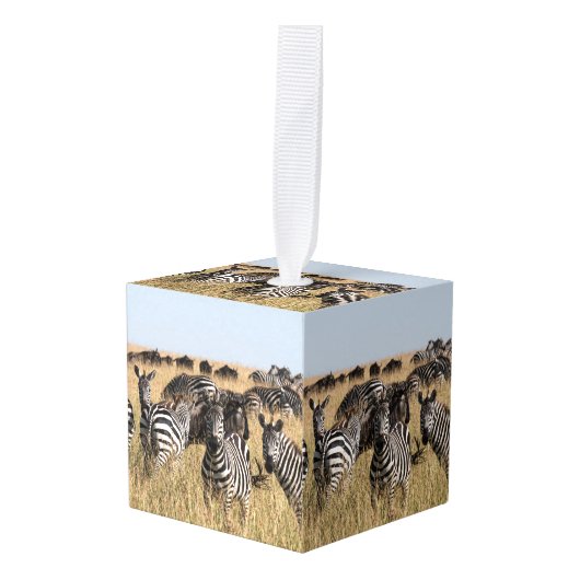 Grant's zebra ornament in kubusvorm (Voorkant hoekig)