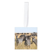 Grant's zebra ornament in kubusvorm (Voorkant)