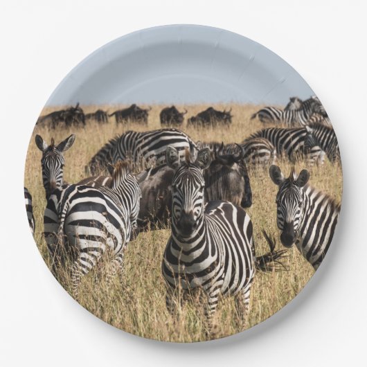 Grant's Zebra Papieren Bordje (Voorkant)