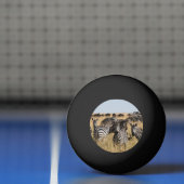 Grant's Zebra Pingpongbal (Net)