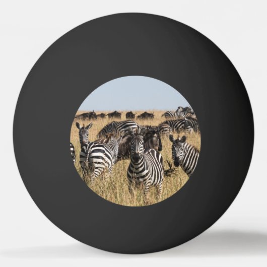 Grant's Zebra Pingpongbal (Voorkant)