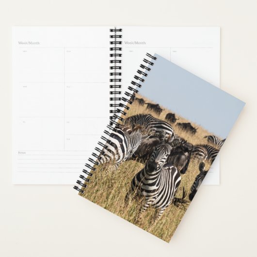 Grant's Zebra Planner (Display)