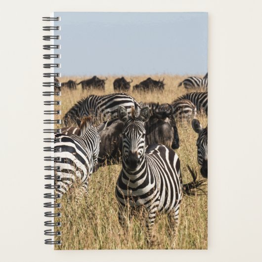 Grant's Zebra Planner (Voorkant)
