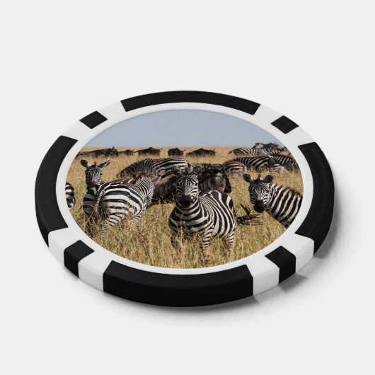 Grant's Zebra Poker Chips (Enkel)