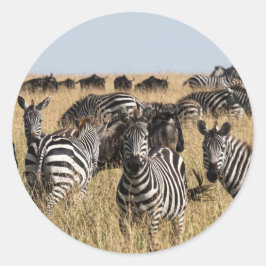 Grant's Zebra Ronde Sticker