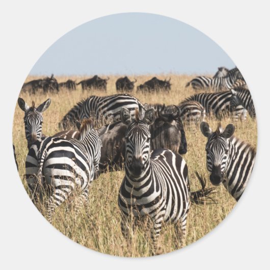 Grant's Zebra Ronde Sticker (Voorkant)