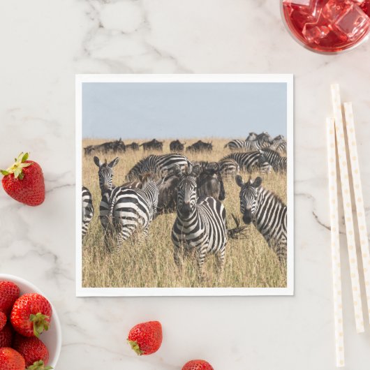 Grant's Zebra Servet (Insitu)