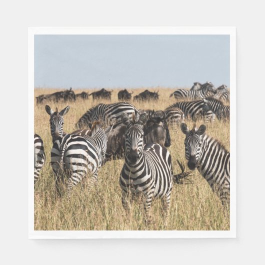 Grant's Zebra Servet (Voorkant)