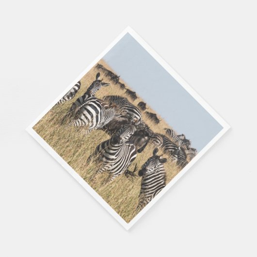 Grant's Zebra Servet (Hoek)