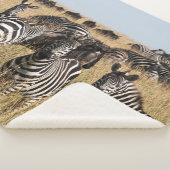 Grant's Zebra Sherpa Blanket Deken (3/4)