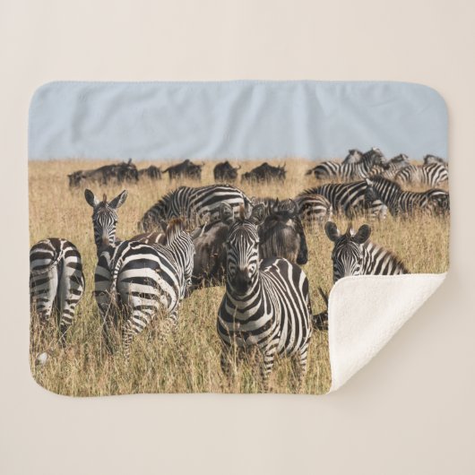Grant's Zebra Sherpa Blanket Deken (Voorkant (horizontaal))