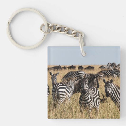 Grant's Zebra Sleutelhanger (Voorkant)