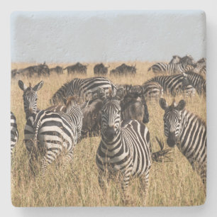 Grant's Zebra Stenen Onderzetter