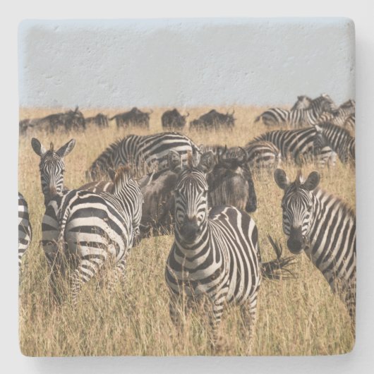 Grant's Zebra Stenen Onderzetter (Voorkant)