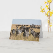 Grant's Zebra Wenskaart Kaart (Gele Bloem)