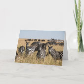 Grant's Zebra Wenskaart Kaart (Voorkant)