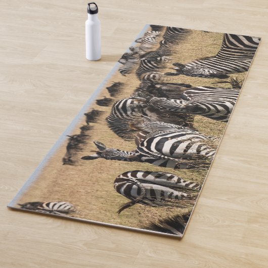 Grant's Zebra Yogamat (In situ)