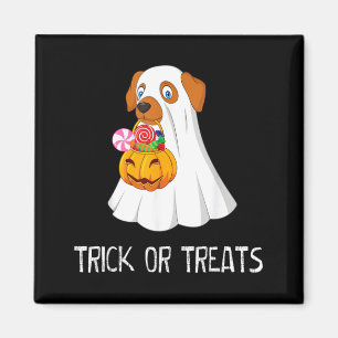 Grap of snoepjes grappige spookhond schattige Hall Magneet