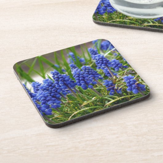 Grape Hyacinth Bier Onderzetter (Linkerzijde)