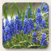Grape Hyacinth Bier Onderzetter (Voorkant)