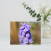 Grape Hyacinth Briefkaart (Staand voorkant)