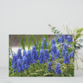 Grape Hyacinth Briefpapier (Staand voorkant)