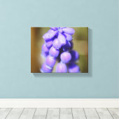 Grape Hyacinth Canvas Afdruk (Insitu (Houten vloer))