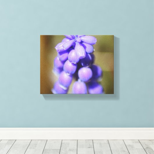 Grape Hyacinth Canvas Afdruk (Insitu (Houten vloer))