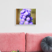 Grape Hyacinth Canvas Afdruk (Insitu (Woonkamer))