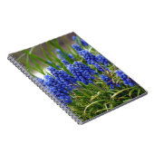 Grape Hyacinth Notitieboek (Rechterzijde)