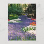 Grape Hyacinth River Briefkaart (Voorkant)