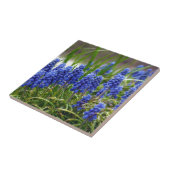 Grape Hyacinth Tegeltje (Zijkant)
