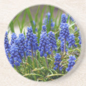 Grape Hyacinth Zandsteen Onderzetter (Voorkant)