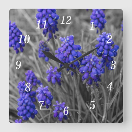 Grape Hyacinths familie Selecteer Wandklok (Voorkant)