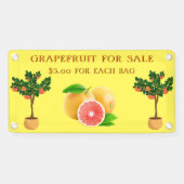 Grapefruit aanpassen voor verkoopstandaard voor fr spandoek (Horizontaal)