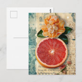 Grapefruit Briefkaart (Voorkant / Achterkant)