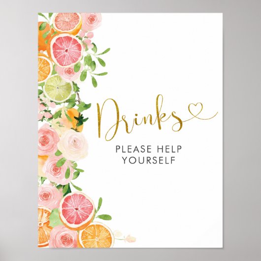 Grapefruit Citrus Fruit Bridal Shower Drinks Sign Poster (Voorkant)