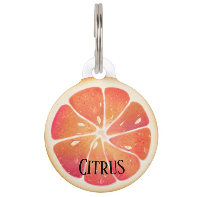 Grapefruit Citrus Fruit Gepersonaliseerd Huisdierpenning (Voorkant)