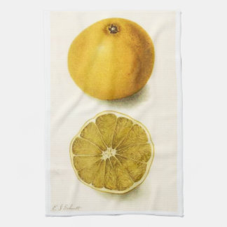 Grapefruit Kitchen Towel Theedoek