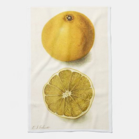 Grapefruit Kitchen Towel Theedoek (Verticaal)
